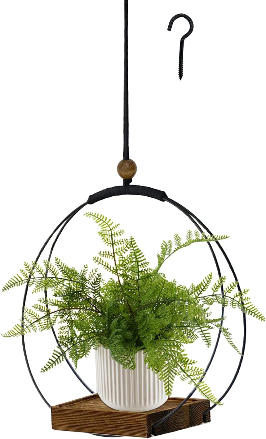 Hanging Planters for Indoor Plants & Windows, Modern Plant Hanger For Home