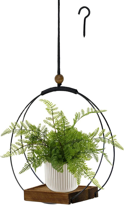 Modern Hanging Wall Planter for Indoor Plants & Windows