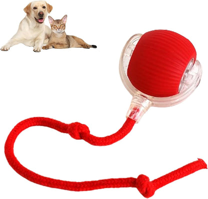 Rechargeable Interactive Rolling Ball Toy for Cats and Dogs