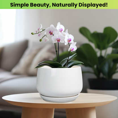 17 cm White Ceramic Plant Pot with Drainage Hole & Saucer