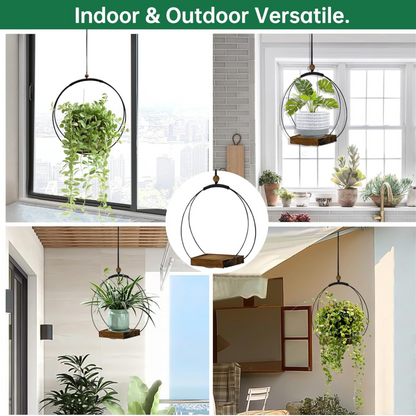 Modern Hanging Wall Planter for Indoor Plants & Windows