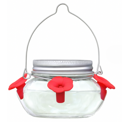 Hanging Mason Jar Bird Feeder with Nectar Ports for Garden
