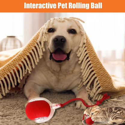 Rechargeable Interactive Rolling Ball Toy for Cats and Dogs