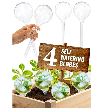 4-Pack Automatic Self-Watering Globes for Indoor & Outdoor Plants