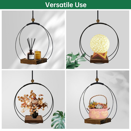 Modern Hanging Wall Planter for Indoor Plants & Windows