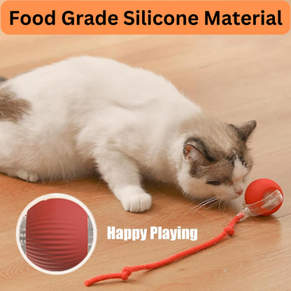 Rechargeable Interactive Rolling Ball Toy for Cats and Dogs