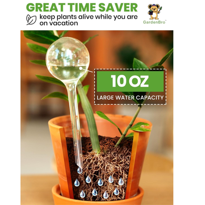 4-Pack Automatic Self-Watering Globes for Indoor & Outdoor Plants