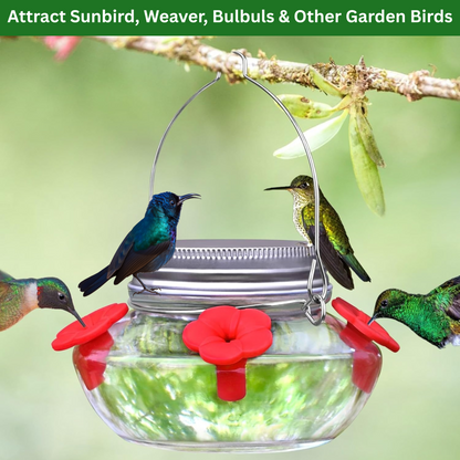 Hanging Mason Jar Bird Feeder with Nectar Ports for Garden