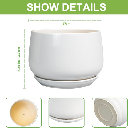 17 cm White Ceramic Plant Pot with Drainage Hole & Saucer