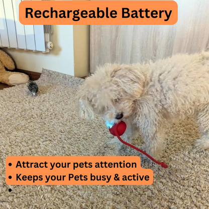 Rechargeable Interactive Rolling Ball Toy for Cats and Dogs