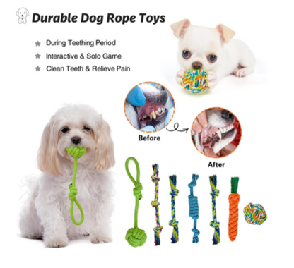 19-Piece Puppy Chew & Teething Toy Set for Small and Medium Dogs