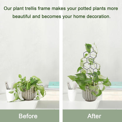 Garden Trellis 2-Pack for Potted Climbing Plants | Metal