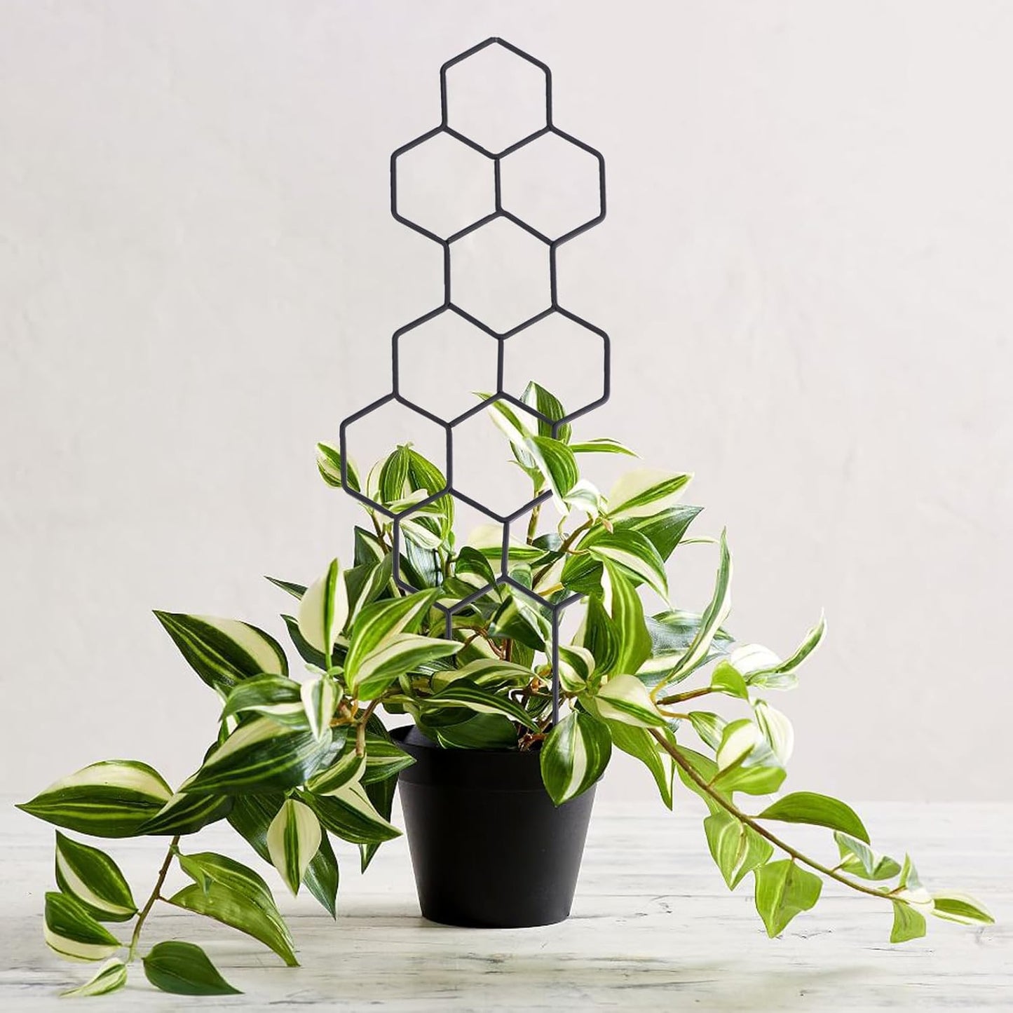 2 Pack Small Garden Trellis for Potted, Climbing & Flower Plants