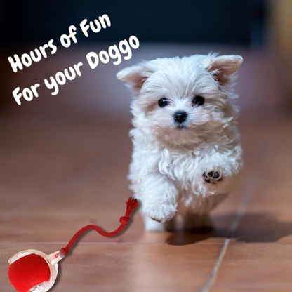 Rechargeable Interactive Rolling Ball Toy for Cats and Dogs