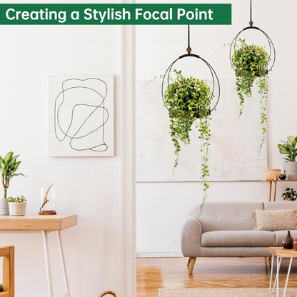 Modern Hanging Wall Planter for Indoor Plants & Windows
