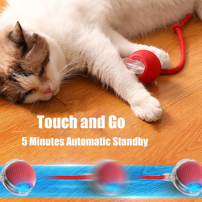 Rechargeable Interactive Rolling Ball Toy for Cats and Dogs