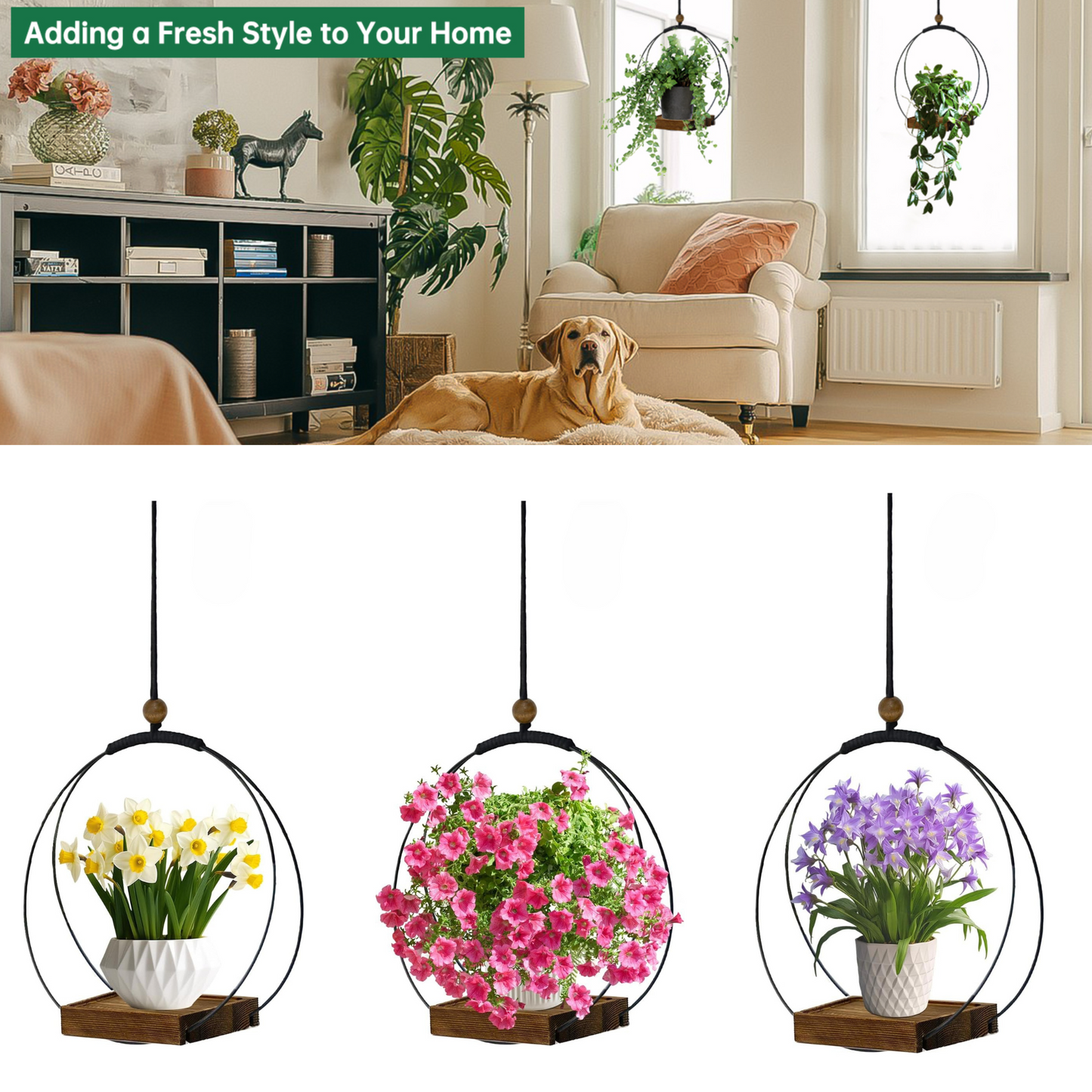 Hanging Planters for Indoor Plants & Windows, Modern Plant Hanger For Home