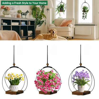 Modern Hanging Wall Planter for Indoor Plants & Windows