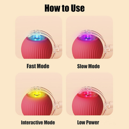 Rechargeable Interactive Rolling Ball Toy for Cats and Dogs
